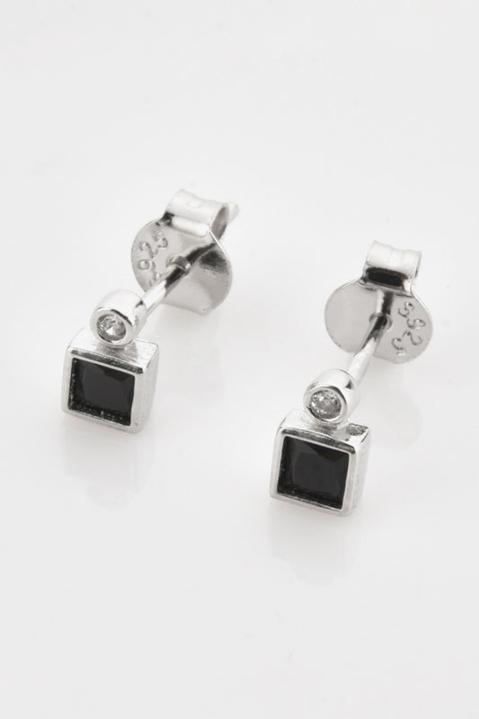 Inlaid Zircon Square 925 Sterling Silver Earrings  Earrings- Doll Fits