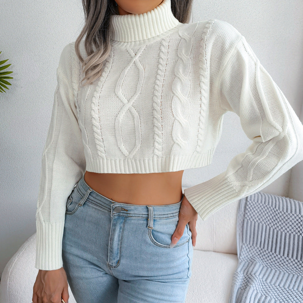 Mixed Knit Turtleneck Cropped Sweater  Shirts & Tops- Doll Fits