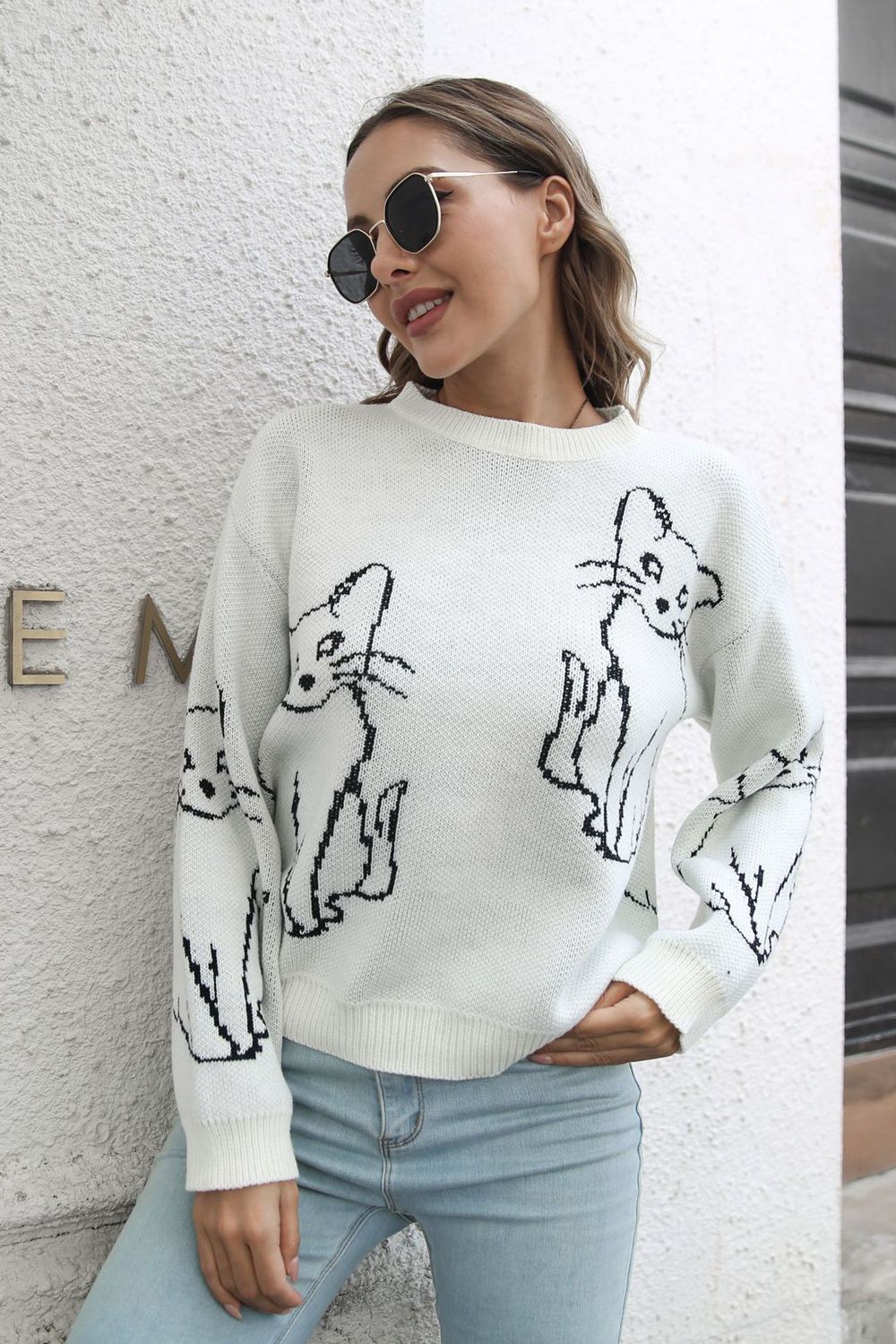 Cat Pattern Round Neck Long Sleeve Pullover Sweater  - Doll Fits